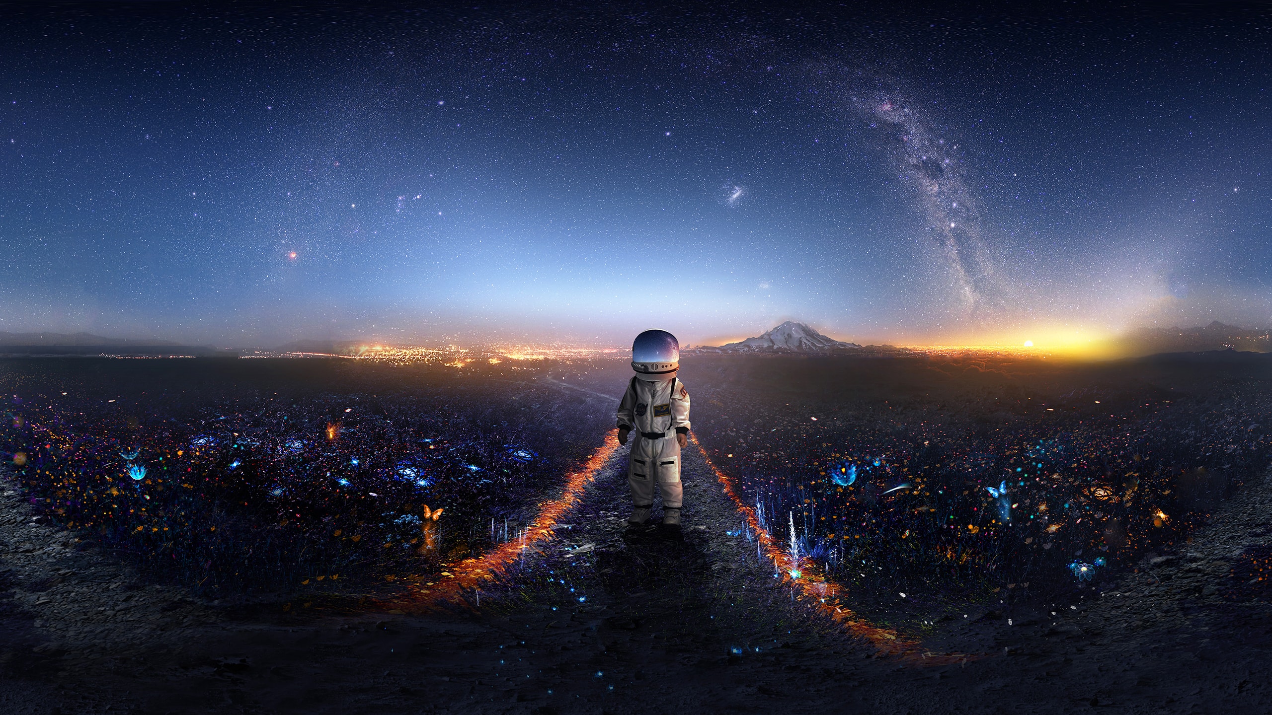 Astronaut Wallpaper for Desktop Laptop PC free Download