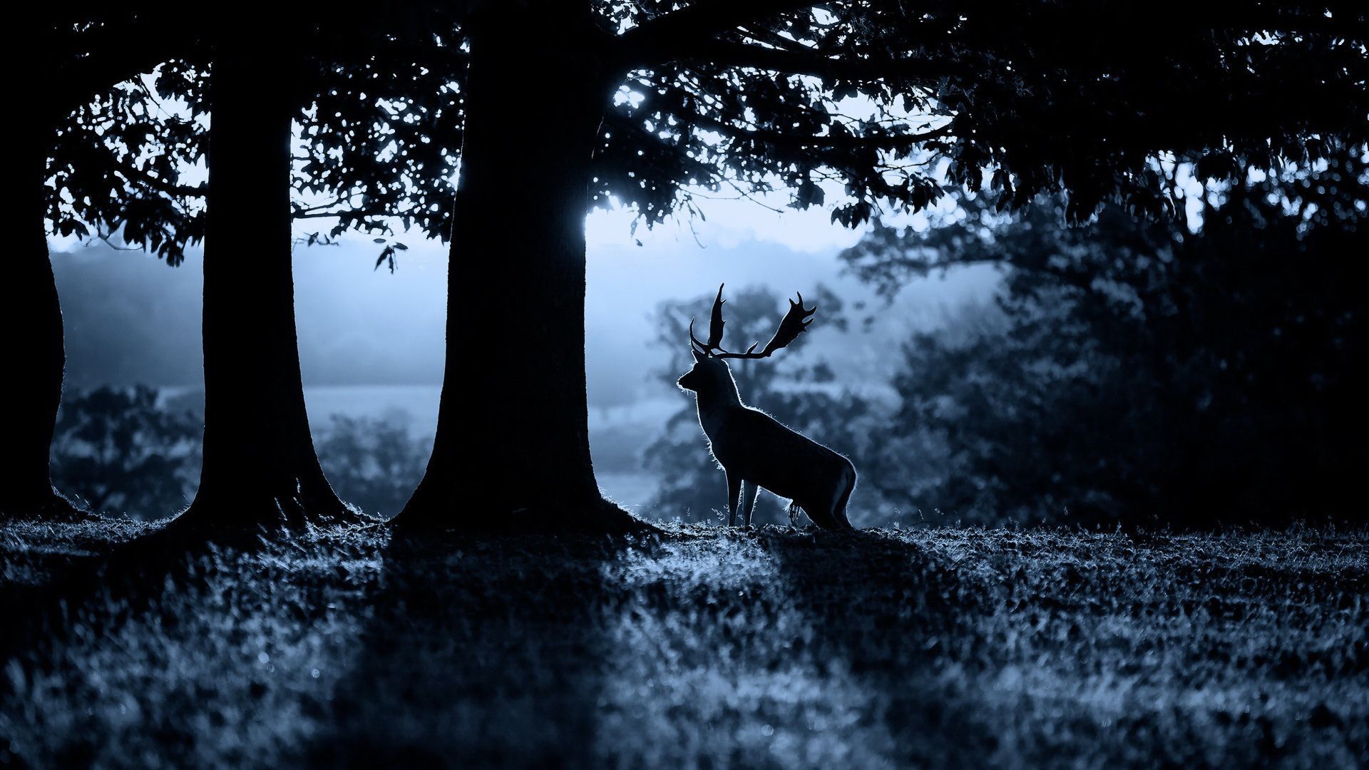 Anime Wilderness: 4K Wallpaper for PC - Majestic Deer in Nature - Free  Download