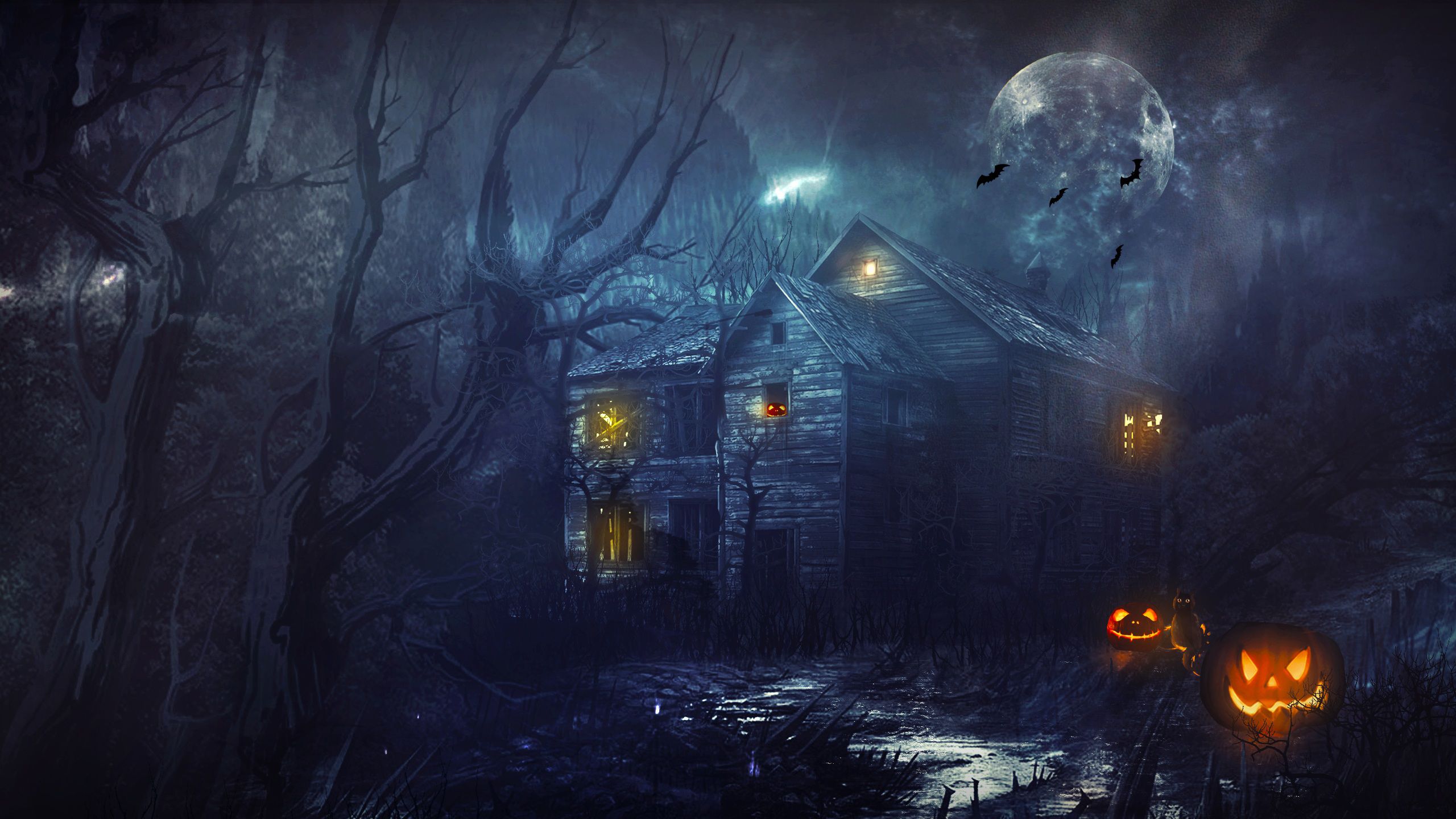 Halloween Background, Photos, and Wallpaper for Free Download