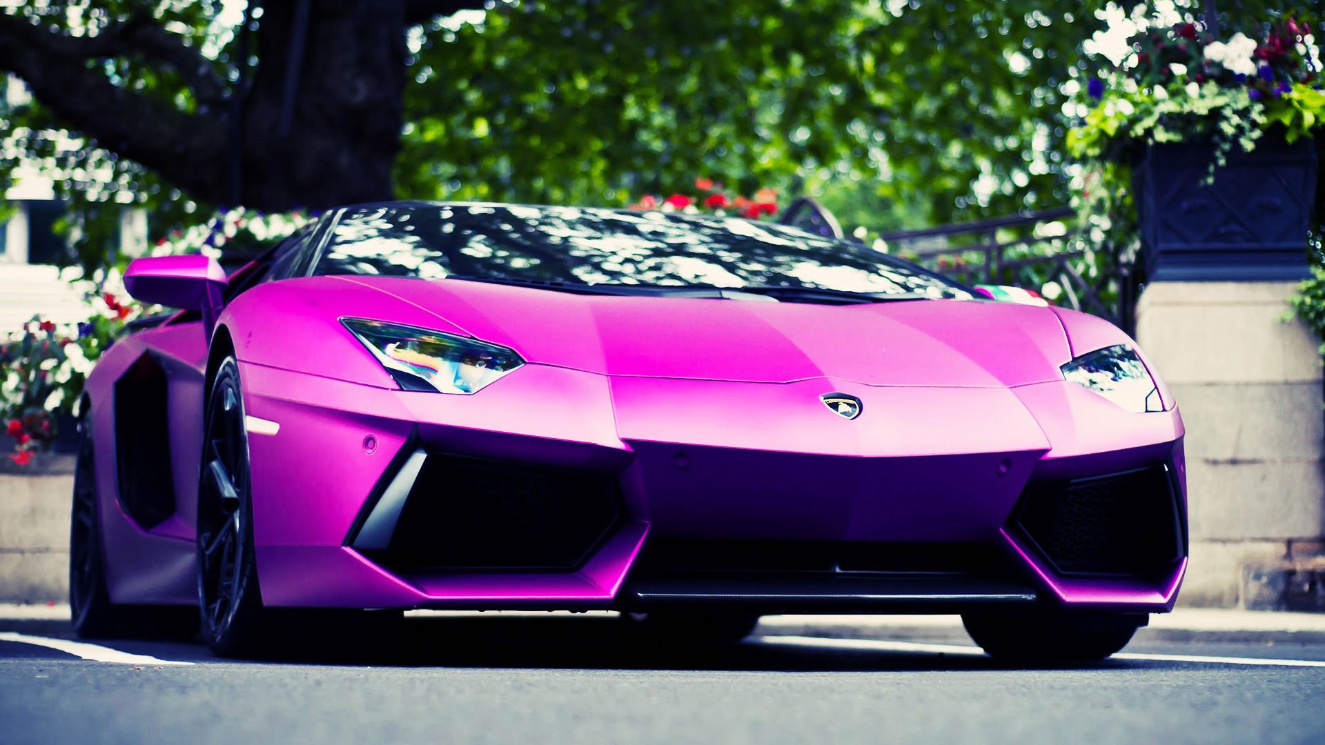 Cool purple lamborghini Wallpapers Download